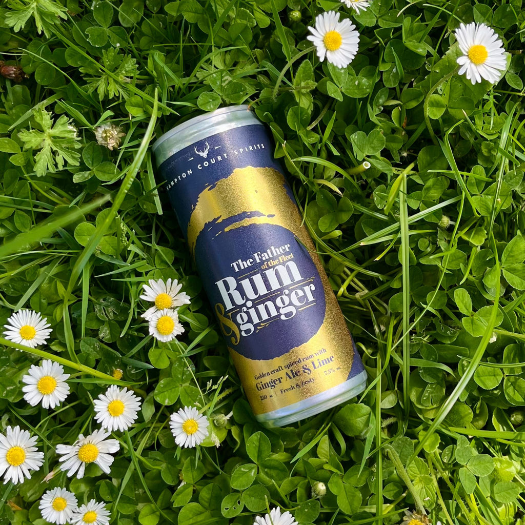 The Father Rum & Ginger in a can!